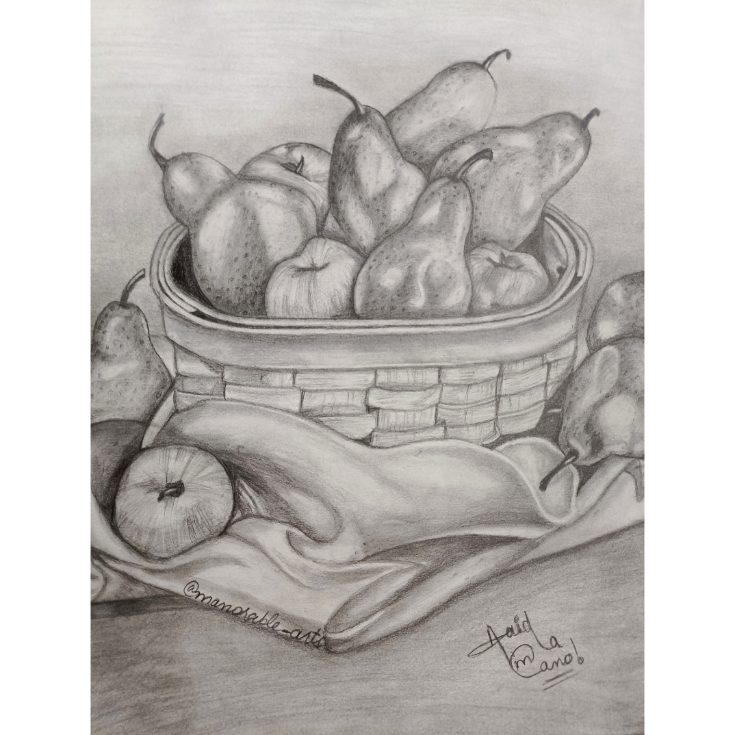 Fruits in a Vase Pencil Drawing Stock Illustration - Illustration of drawing,  painting: 15342762